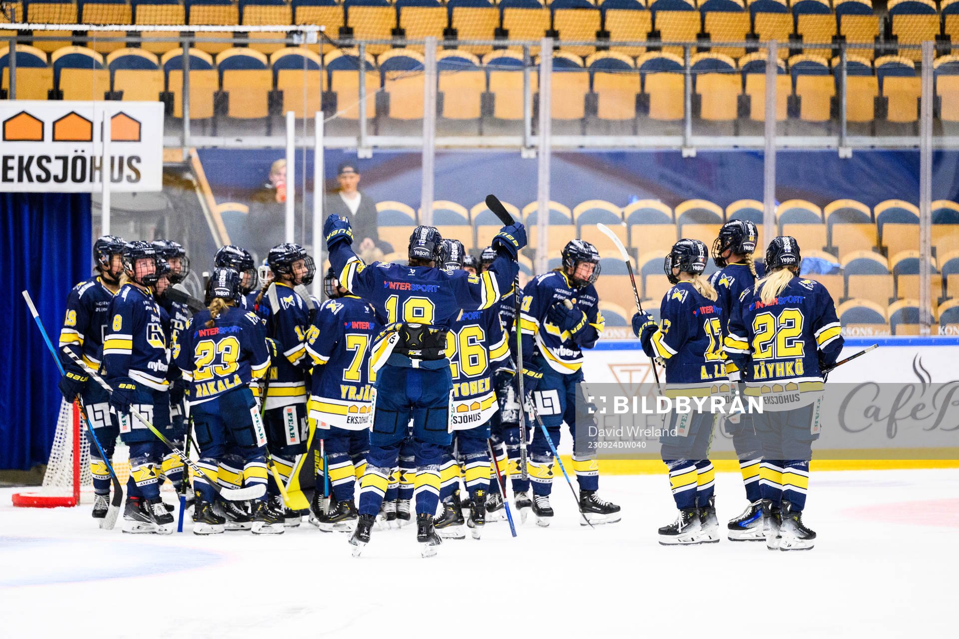 HV71s spelare jublar