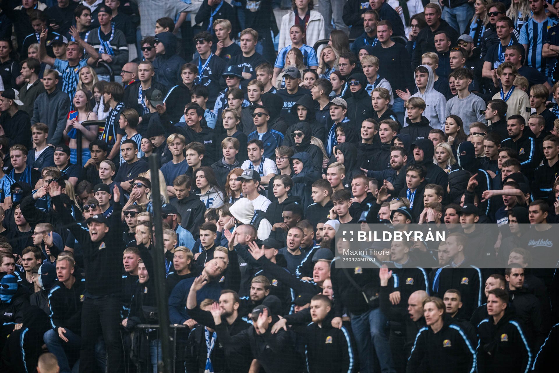 Djurgårdens supportrar