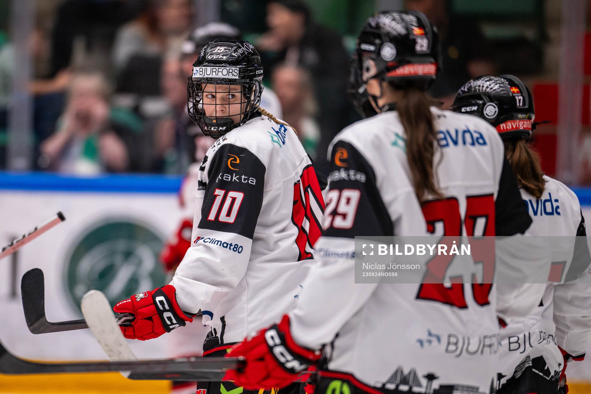 Malmö Redhawks Saga Nederman