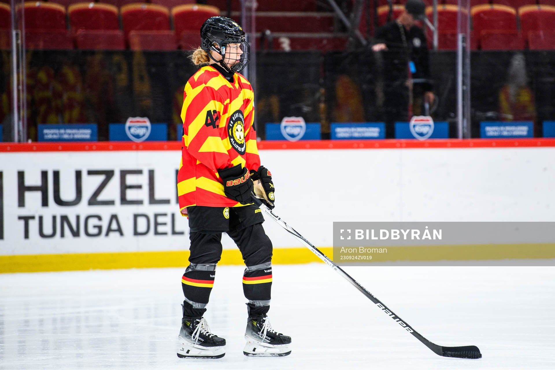 Brynäs Sini Karjalainen