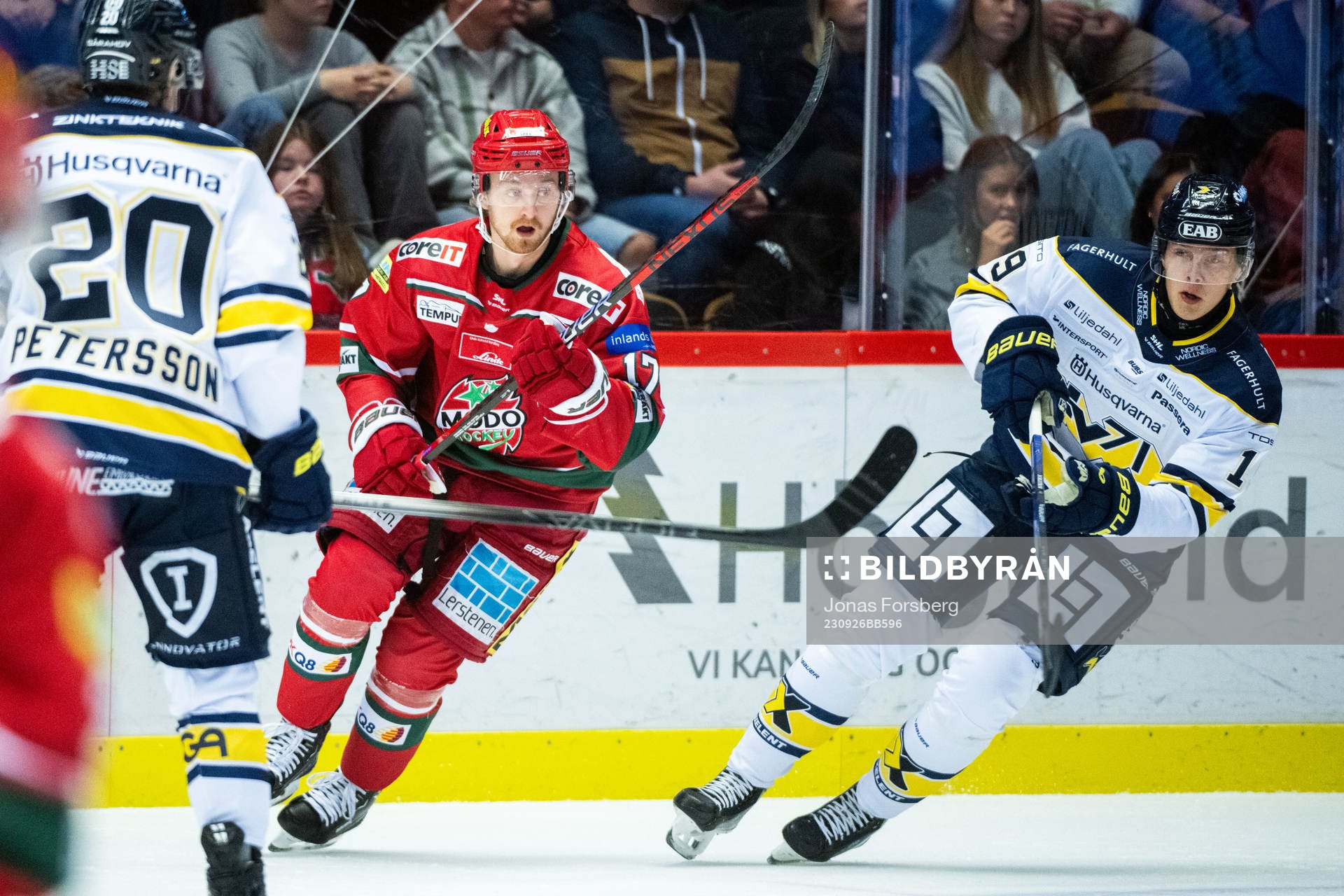 MoDos Riley Woods och HV71s Henrik Borgström