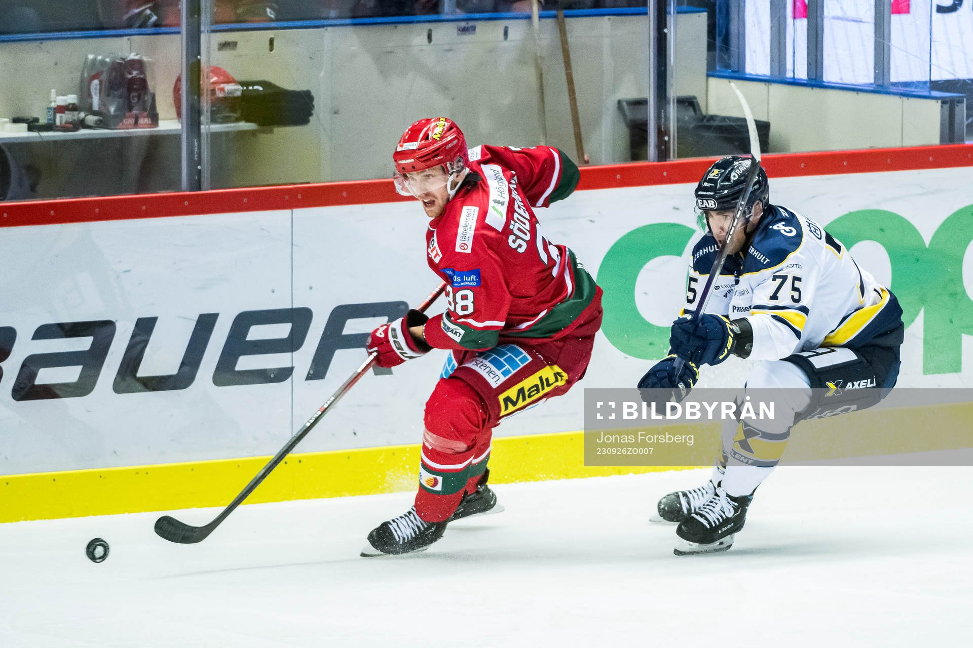 MoDos Johan Södergran och HV71s Radan Lenc