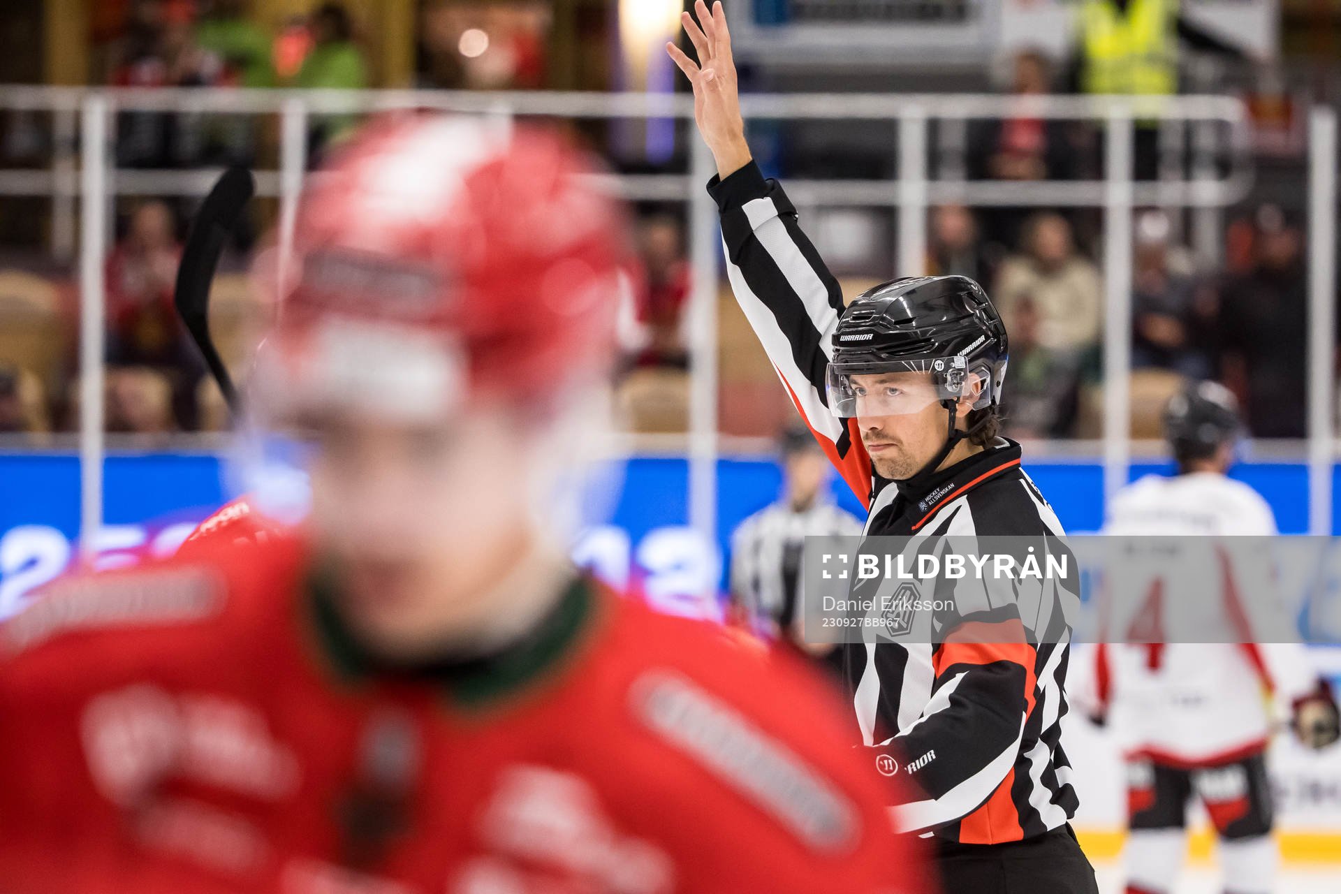 Domare Robin Jacobsson
