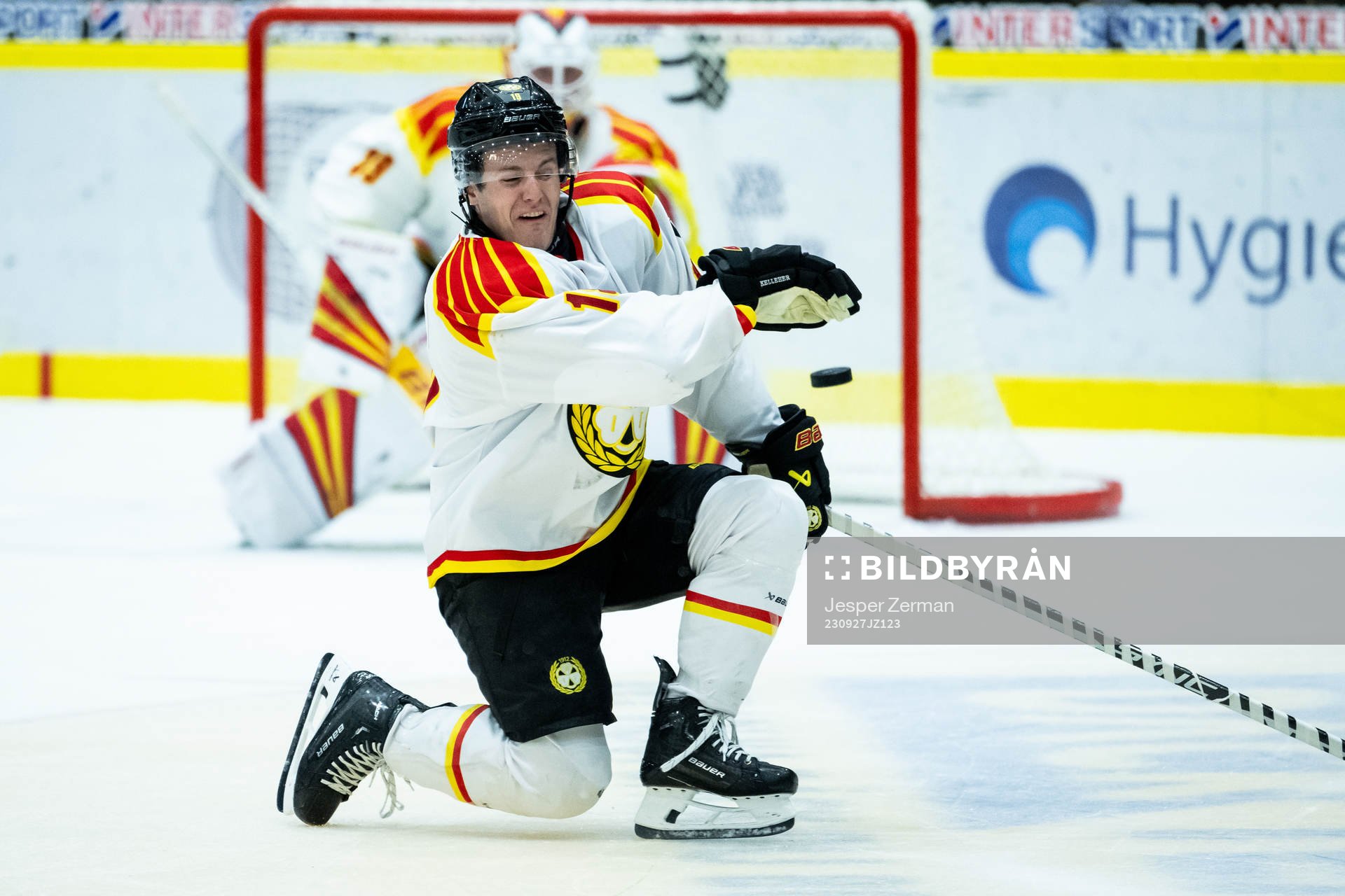 Brynäs Tyler Kelleher
