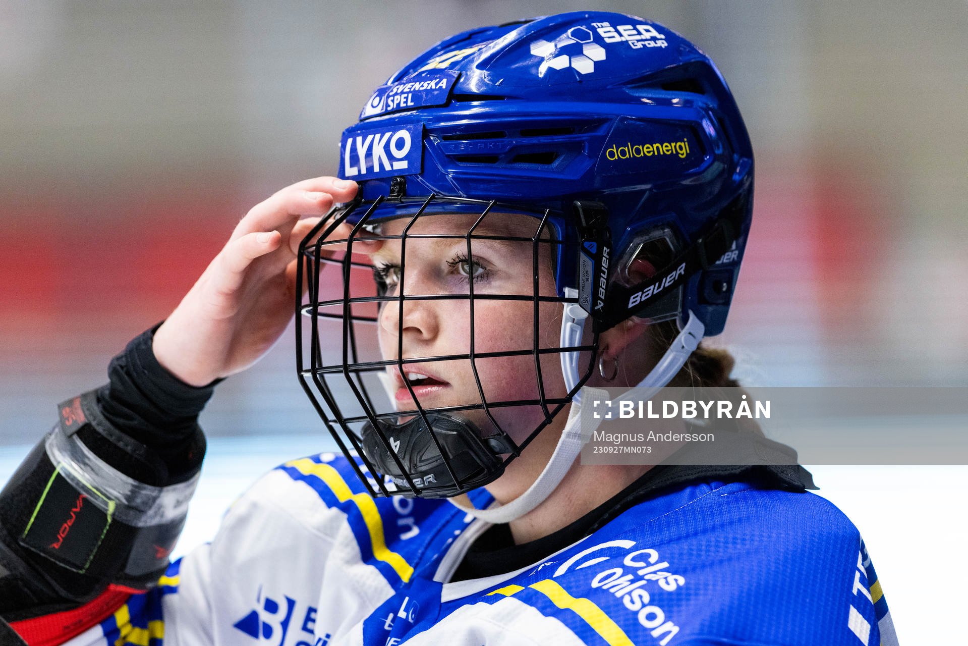 Leksands Shay Maloney