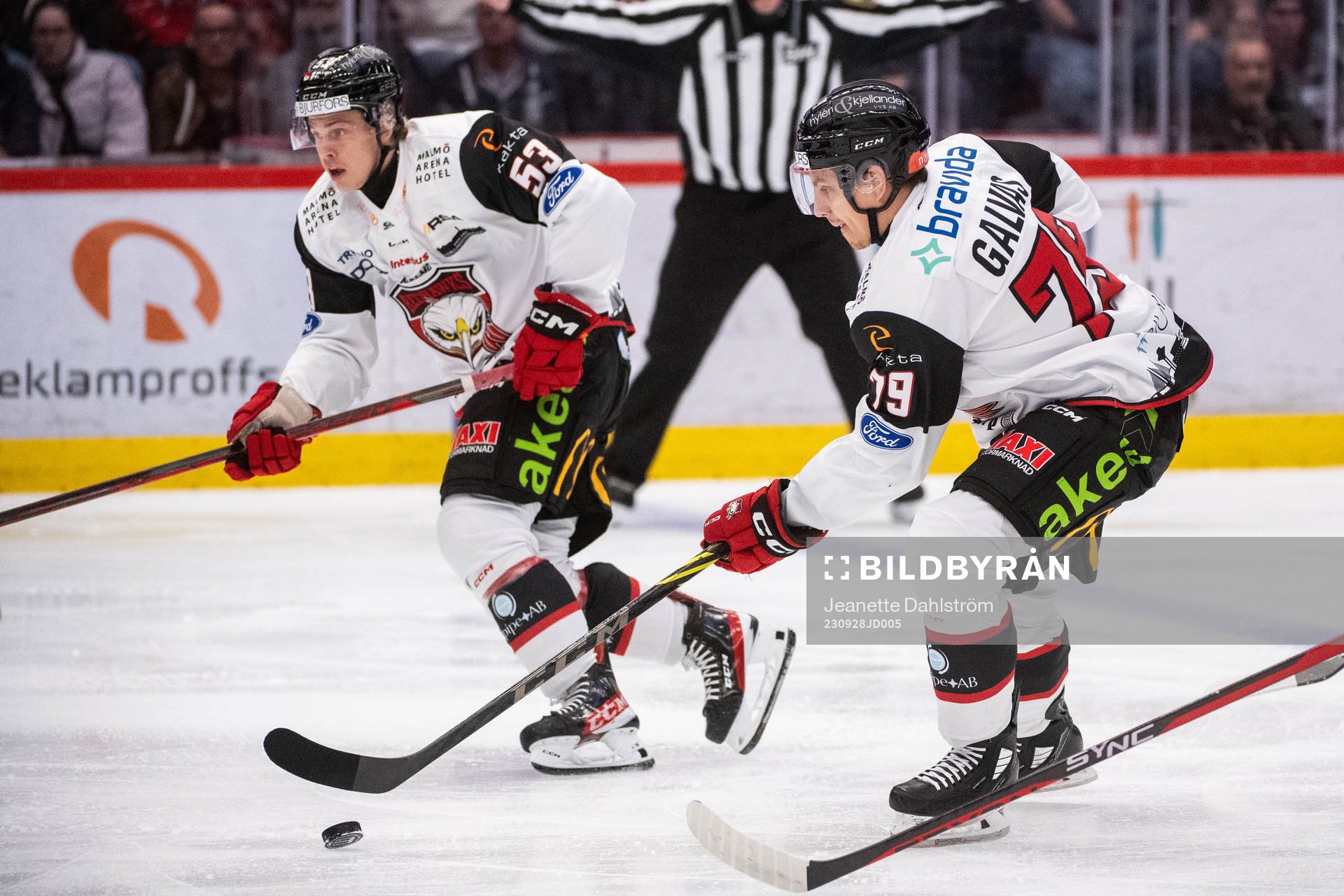 Malmö Redhawks Albert Sjöberg och Jakub Galvas