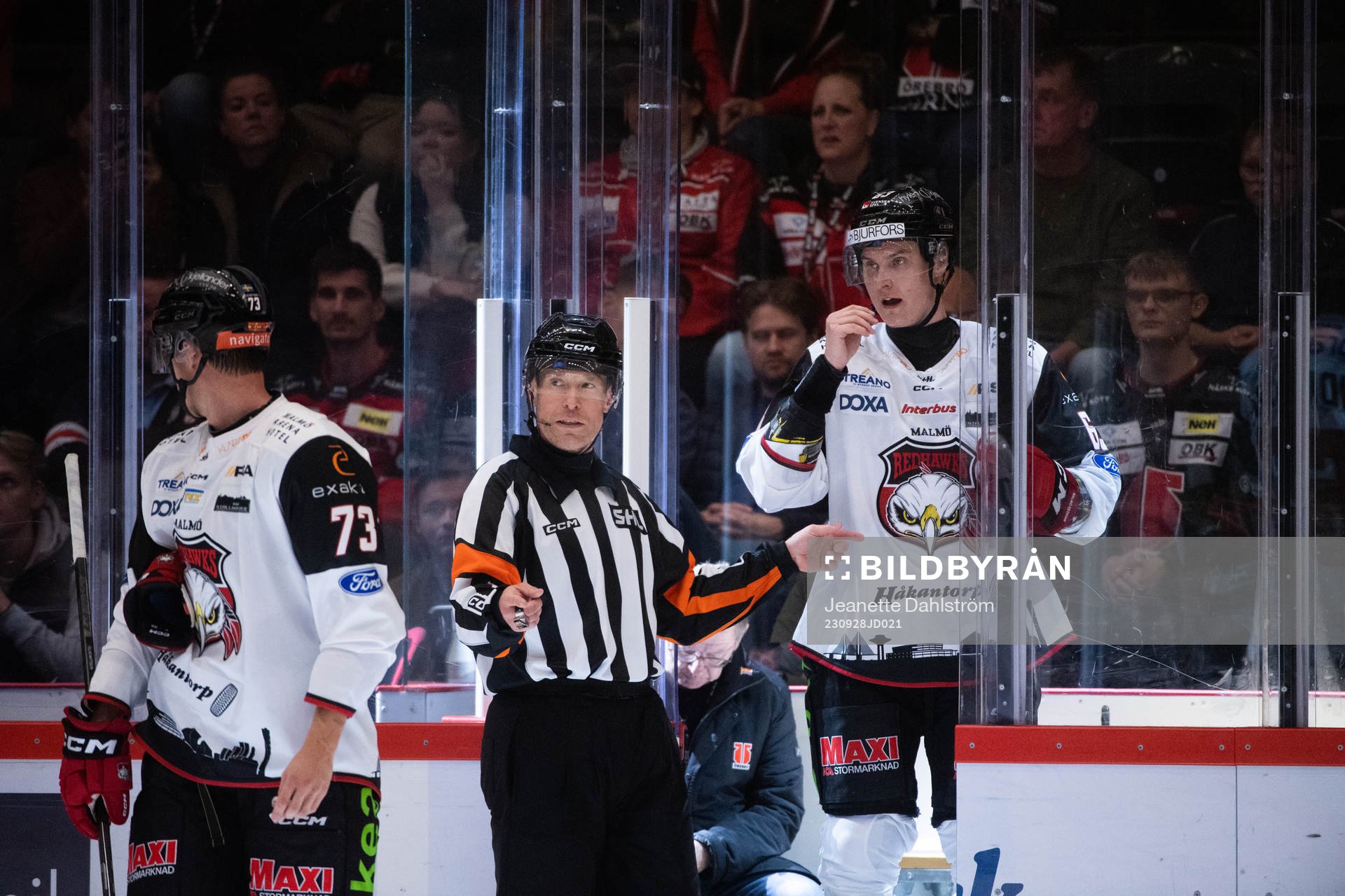 Malmö Redhawks Adam Ollas Mattsson och Fredrik Händemark
