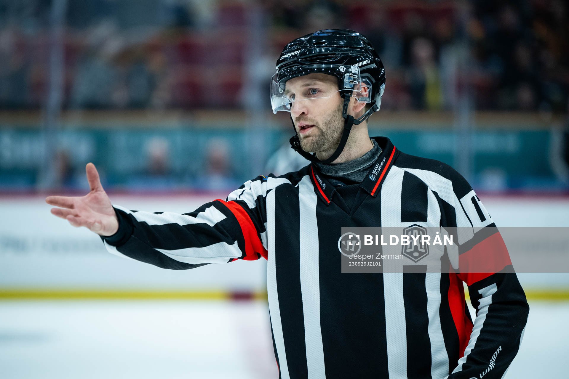 Domare Niklas Johansson