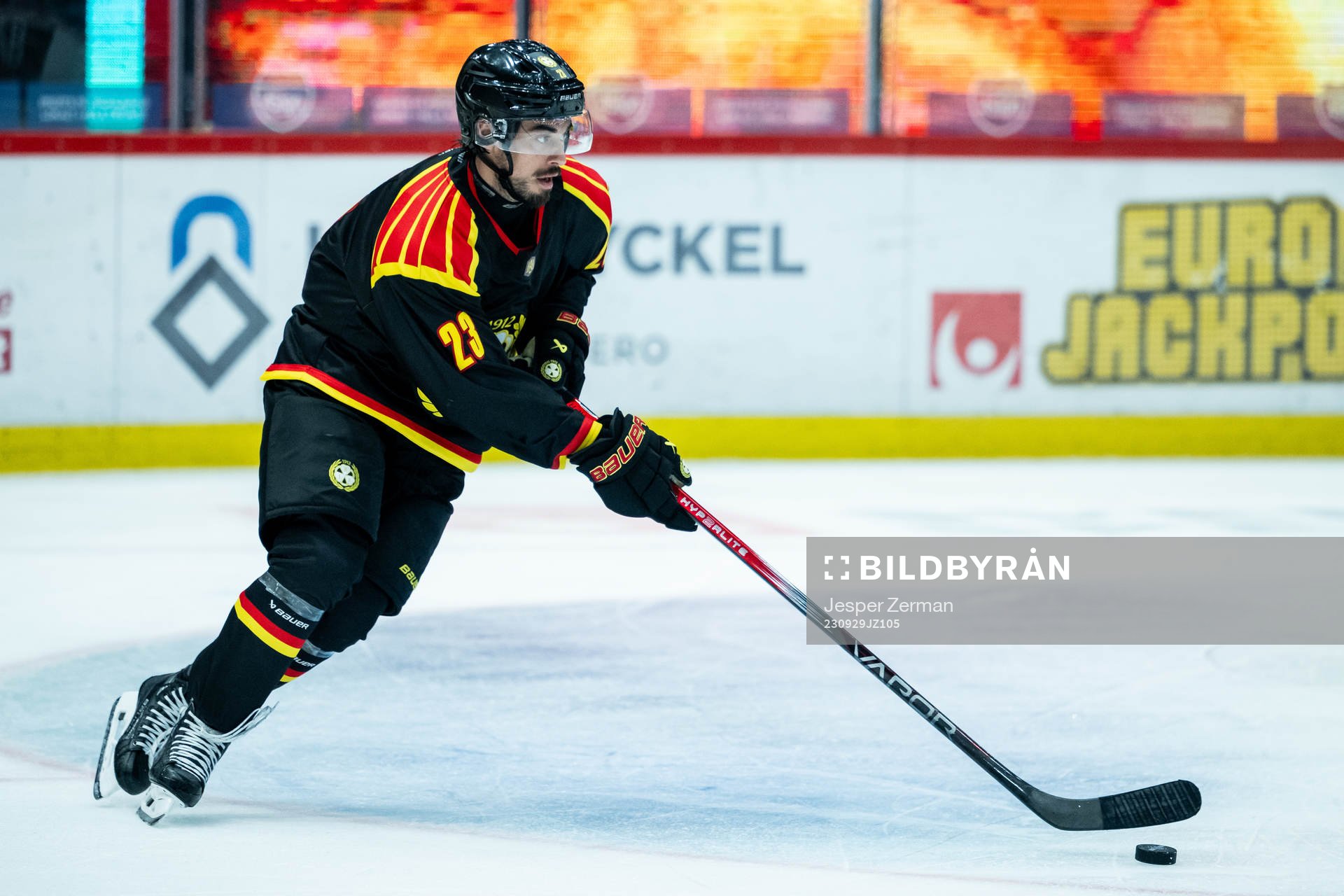 Brynäs Tyler Vesel