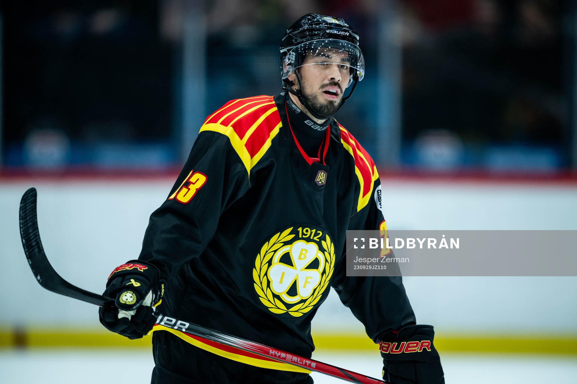 Brynäs Tyler Vesel