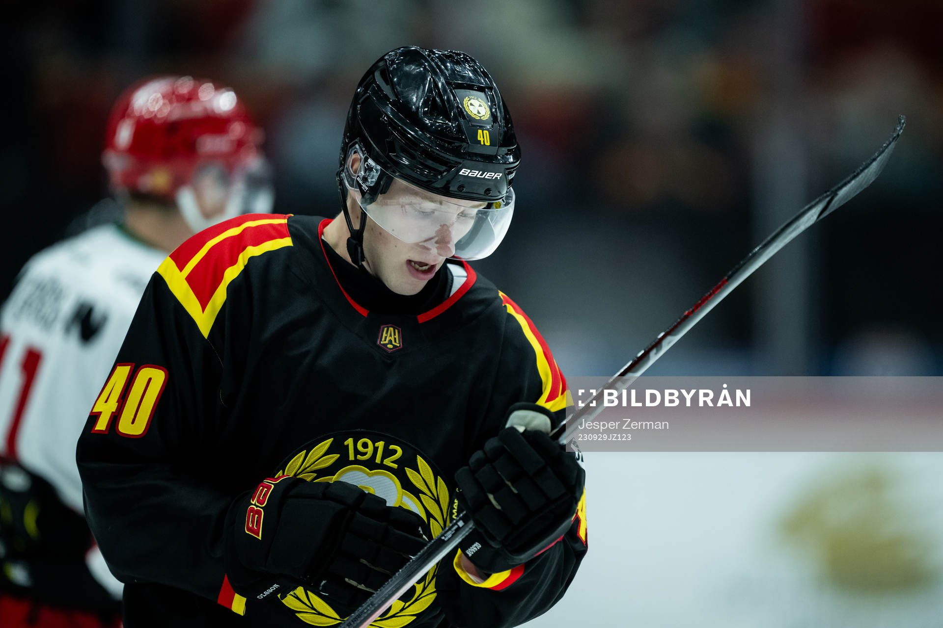 Brynäs Anton Ohlsson