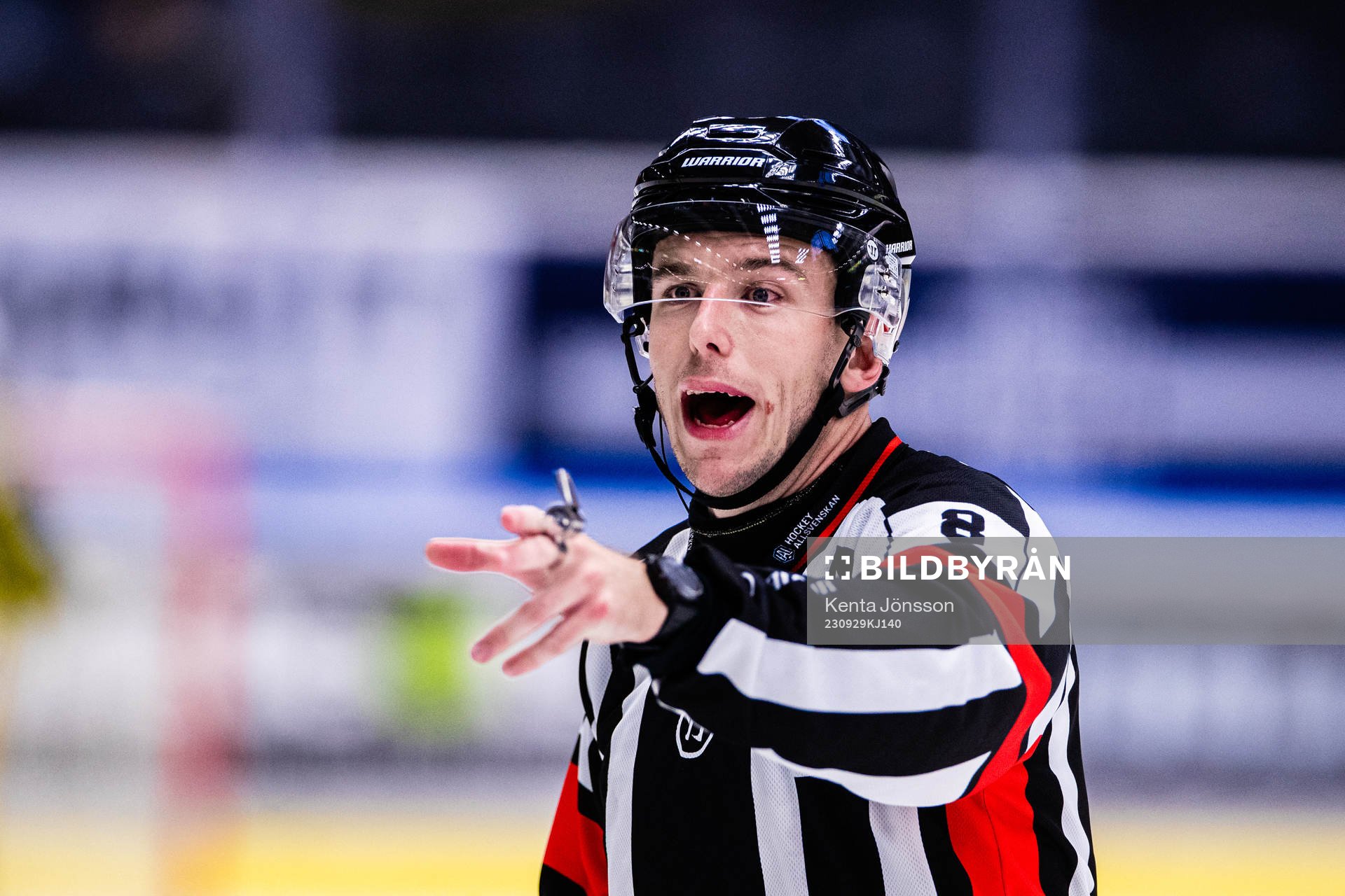 Domare Oscar Niklasson