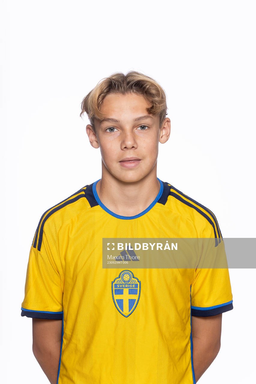 Ludvig Andersson