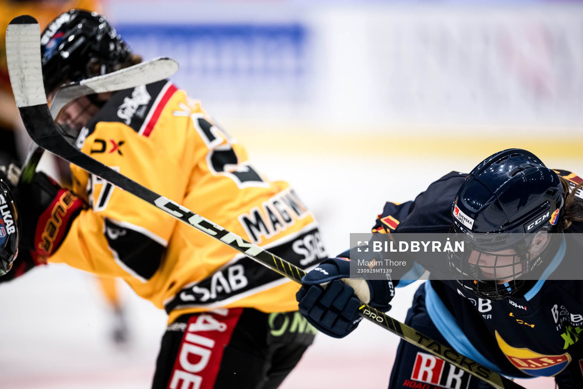 Djurgårdens Anneke Linser
