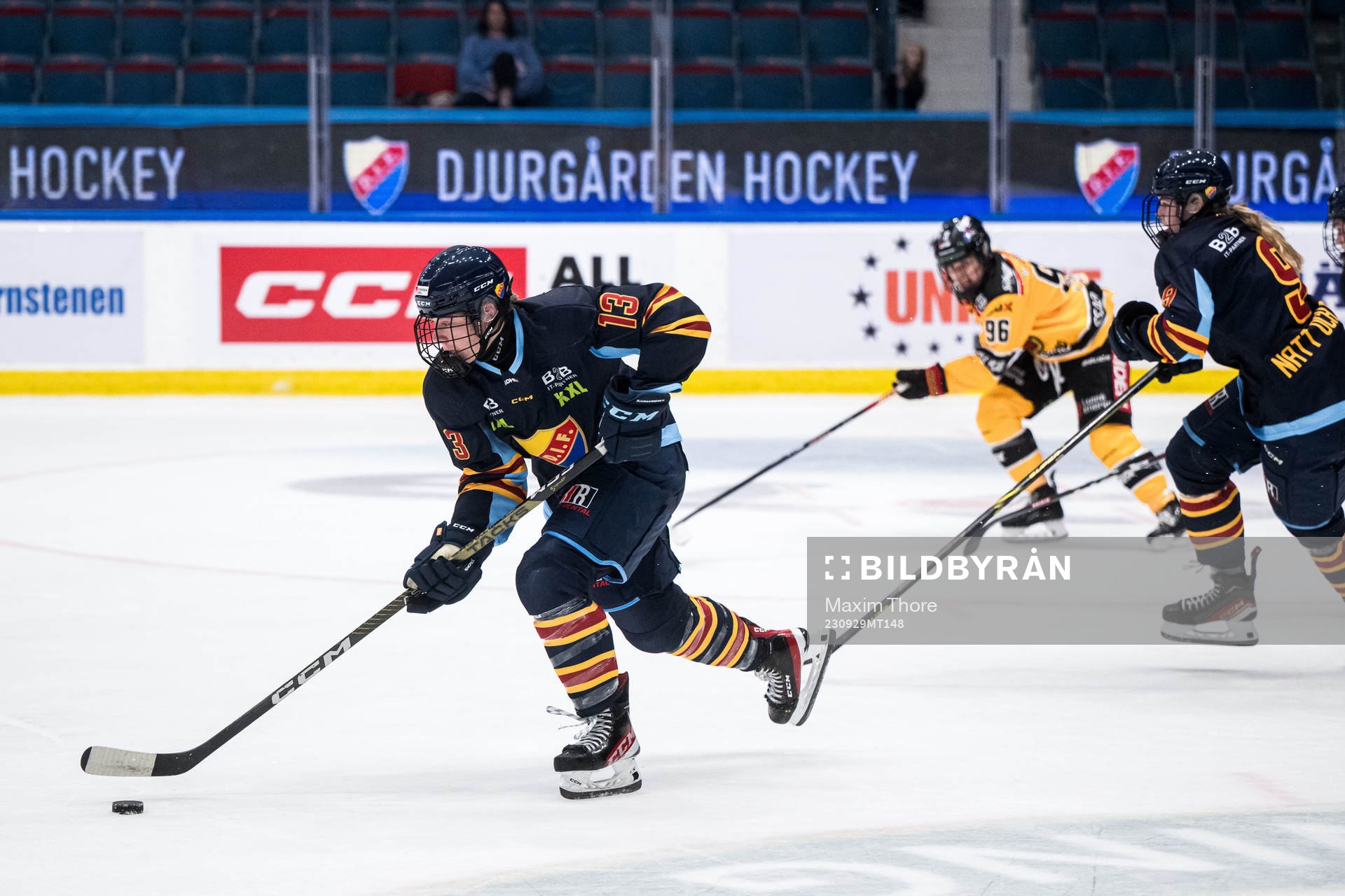 Djurgårdens Anneke Linser