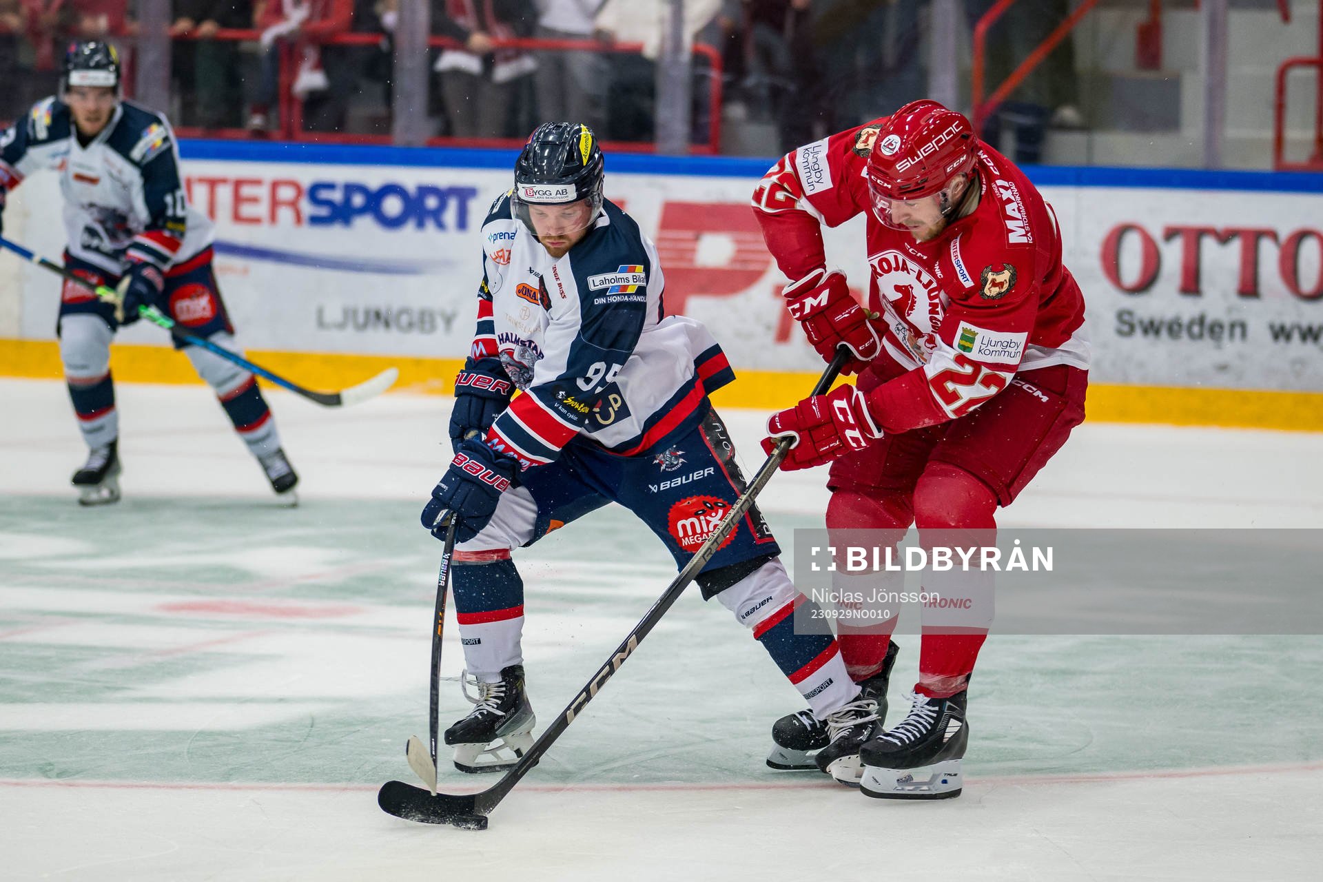 Halmstads Jacob Levin och Troja/Ljungbys Carl-Johan Sjögren