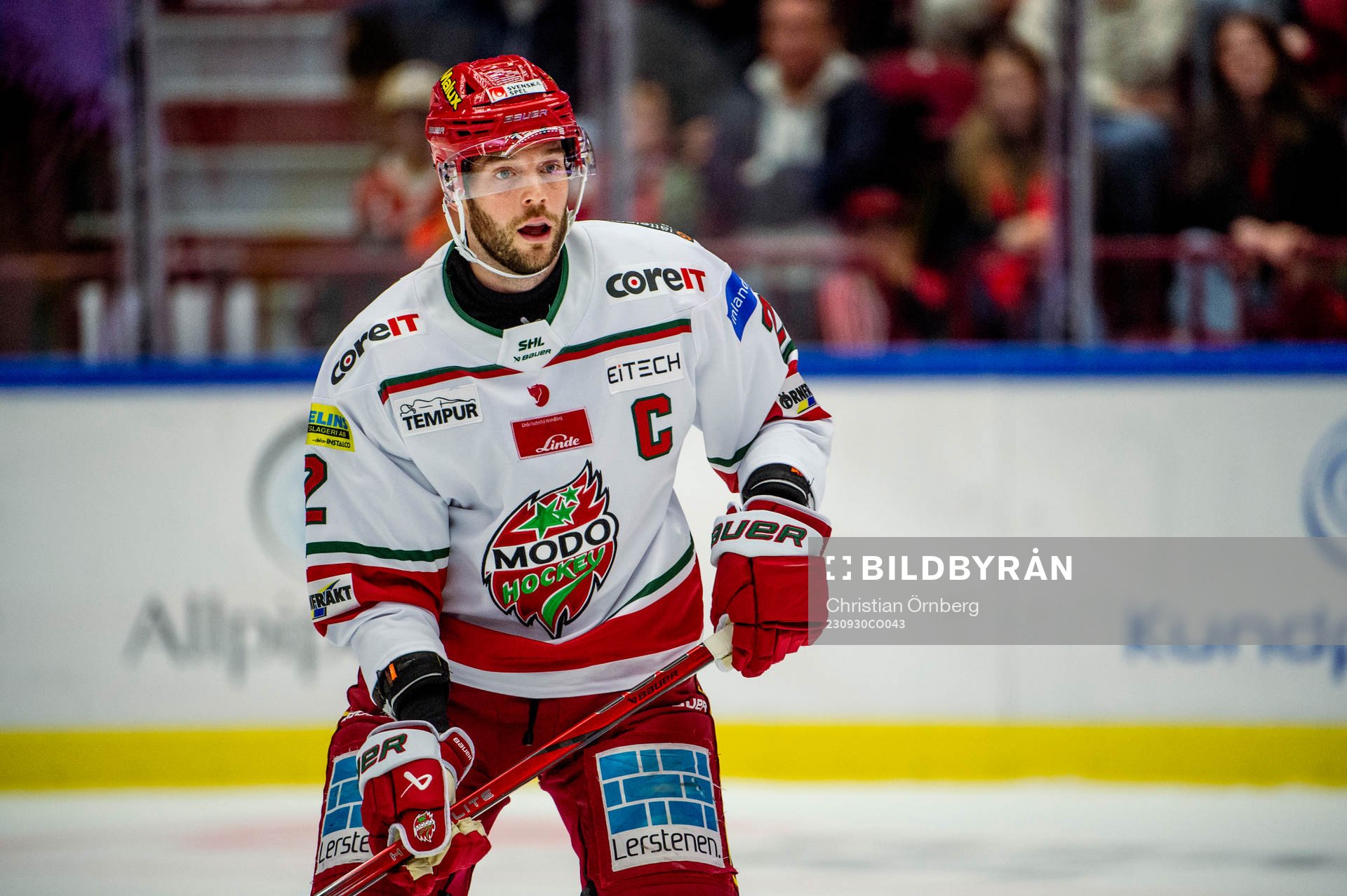 MoDos David Rundblad