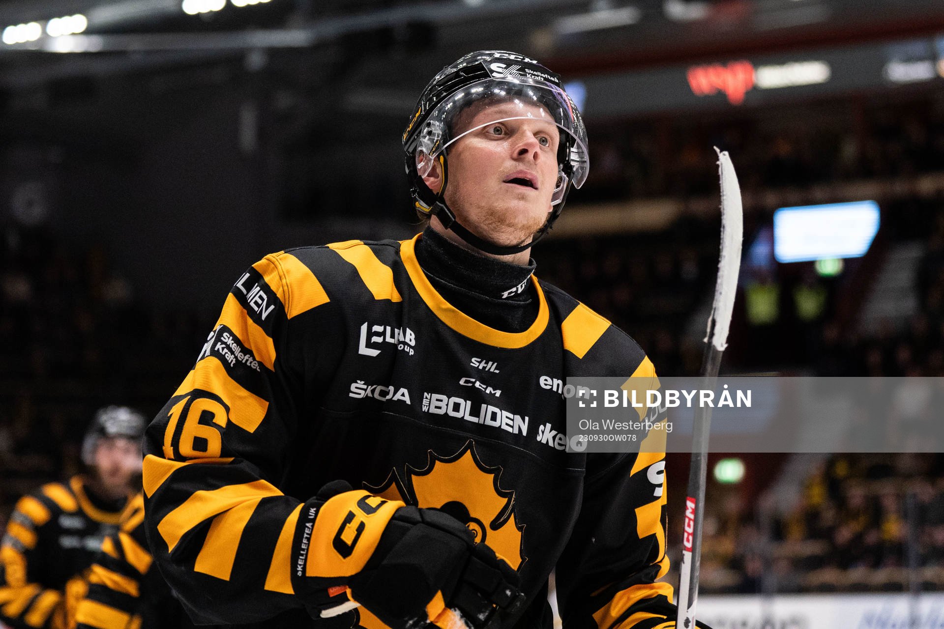 Skellefteås Linus Lindström jublar