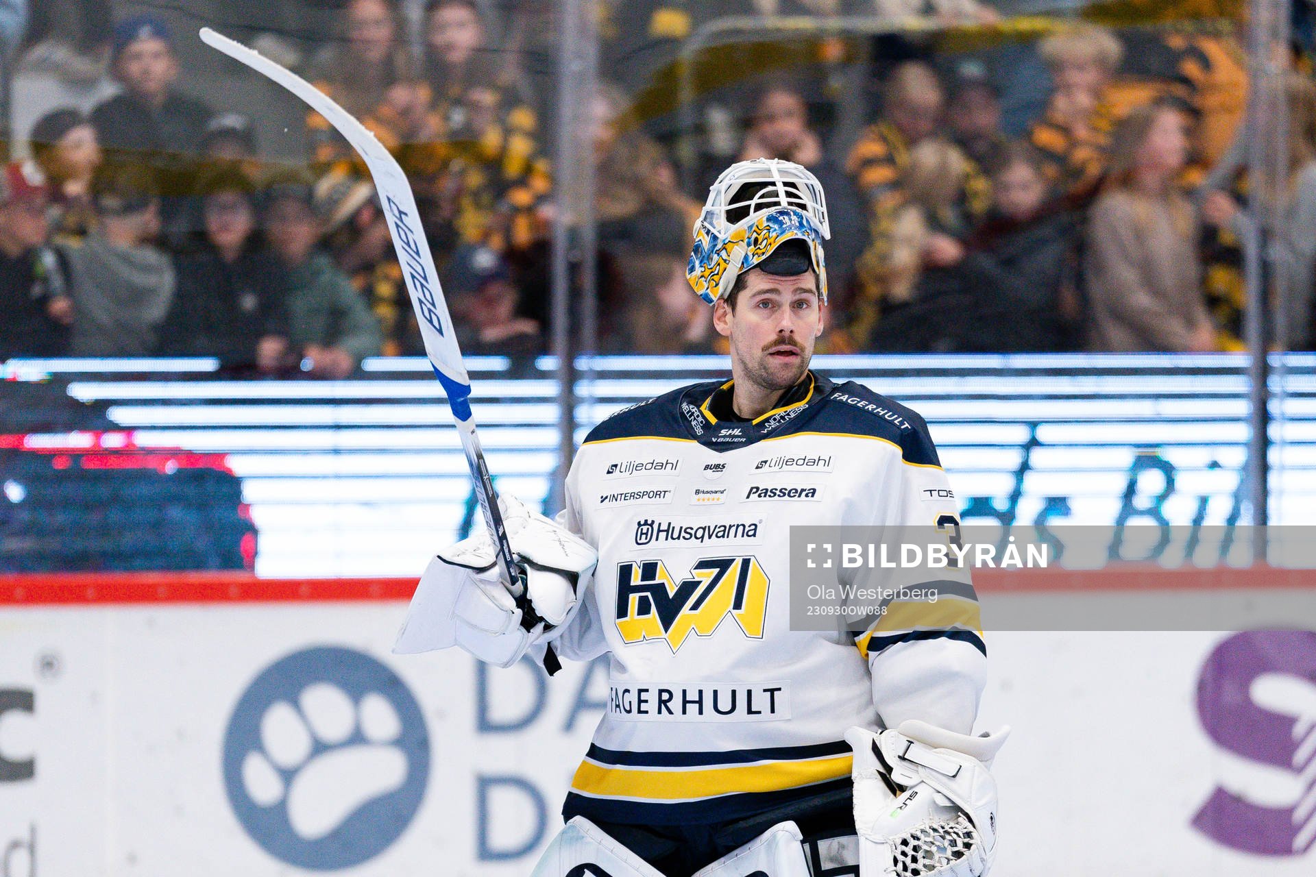 HV71s målvakt Joni Ortio