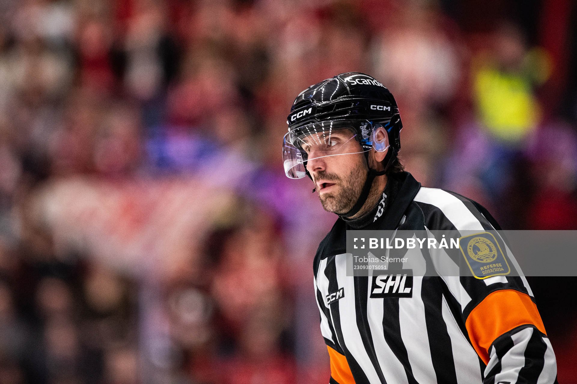 Domare Mikael Sjöqvist