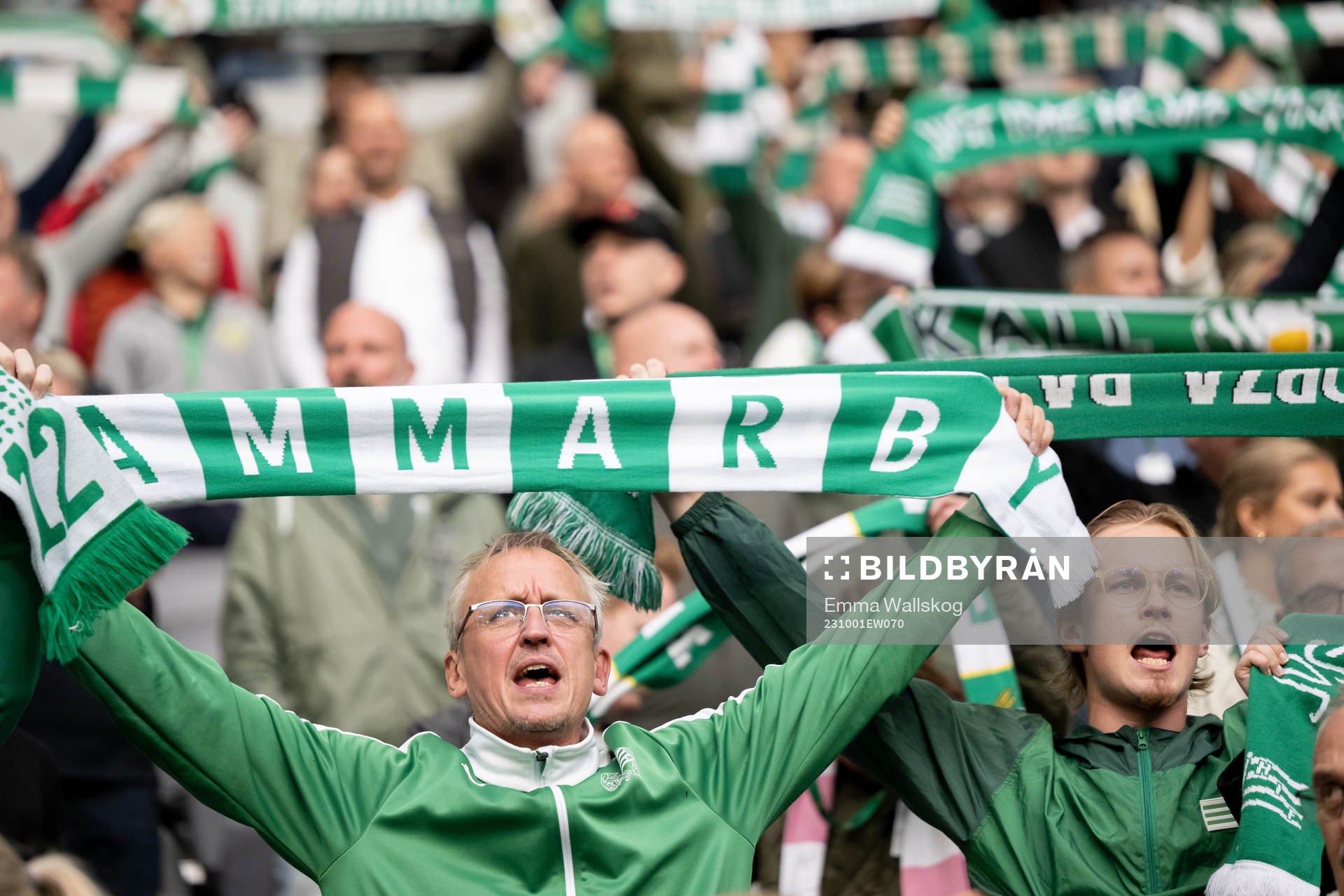 Hammarbys supportrar