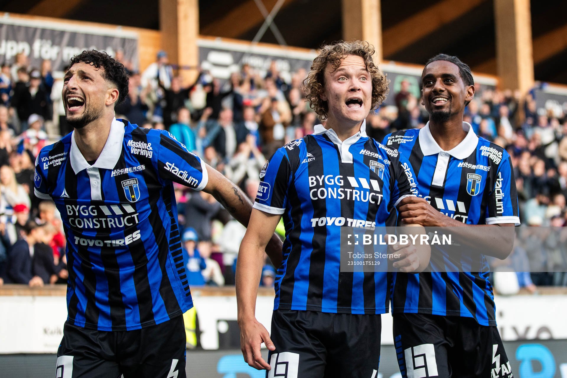Sirius Wessam Abou Ali, Herman Sjögrell och Harun Ibrahim