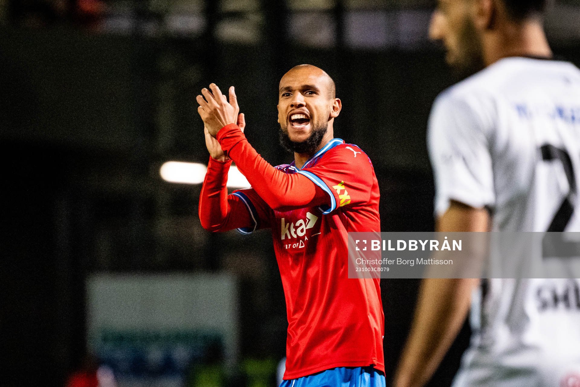 Helsingborgs Sumar Almadjed