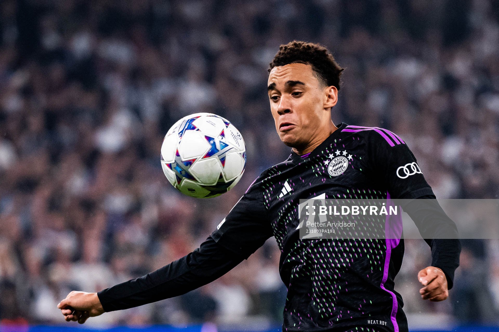 Jamal Musiala of Bayern Munich