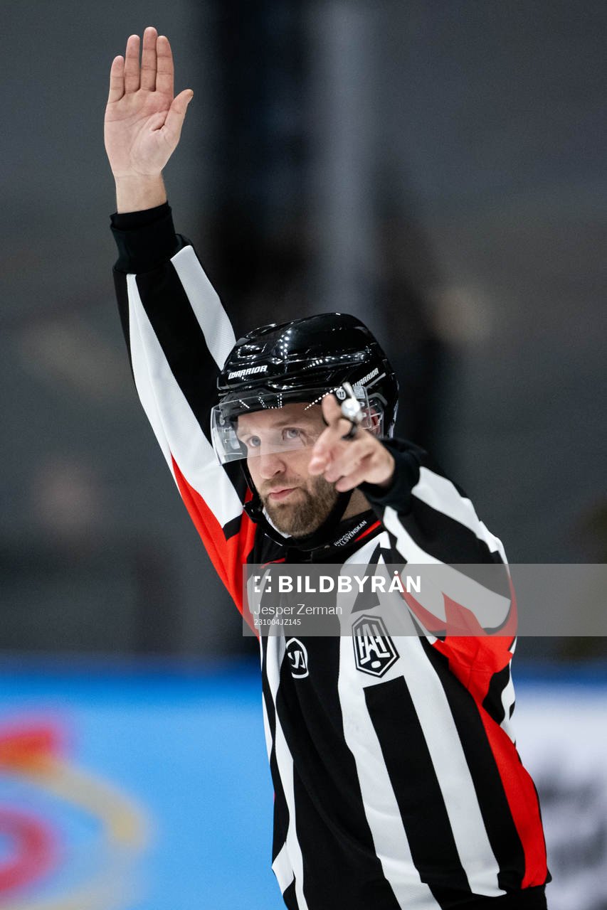 Domare Niklas Johansson