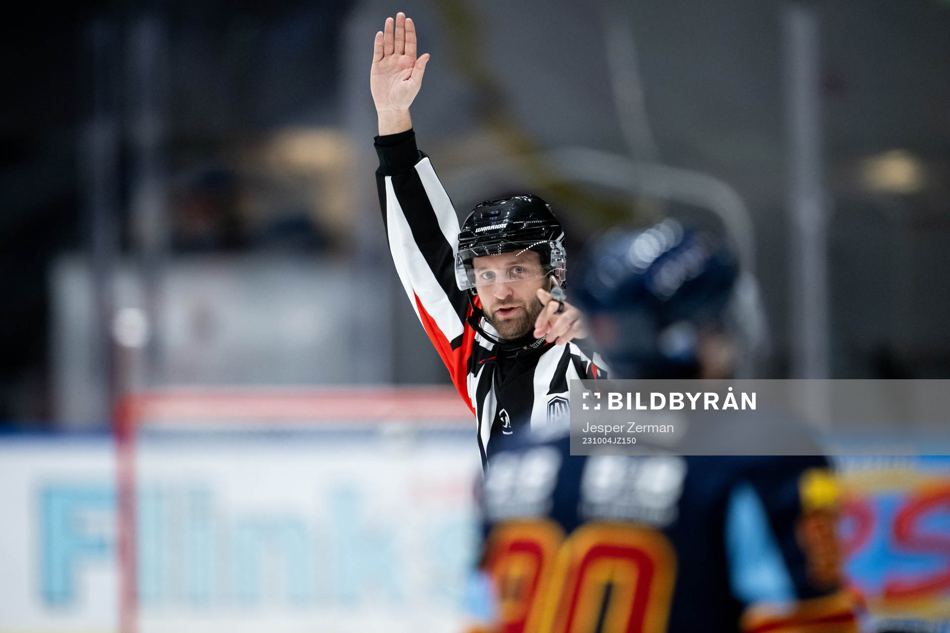 Domare Niklas Johansson