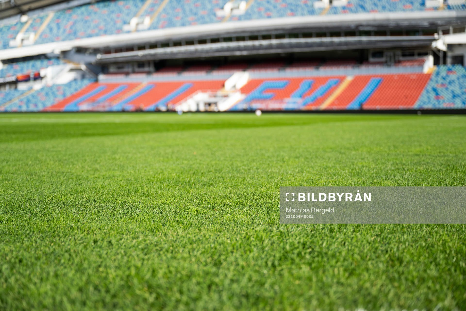 Grass