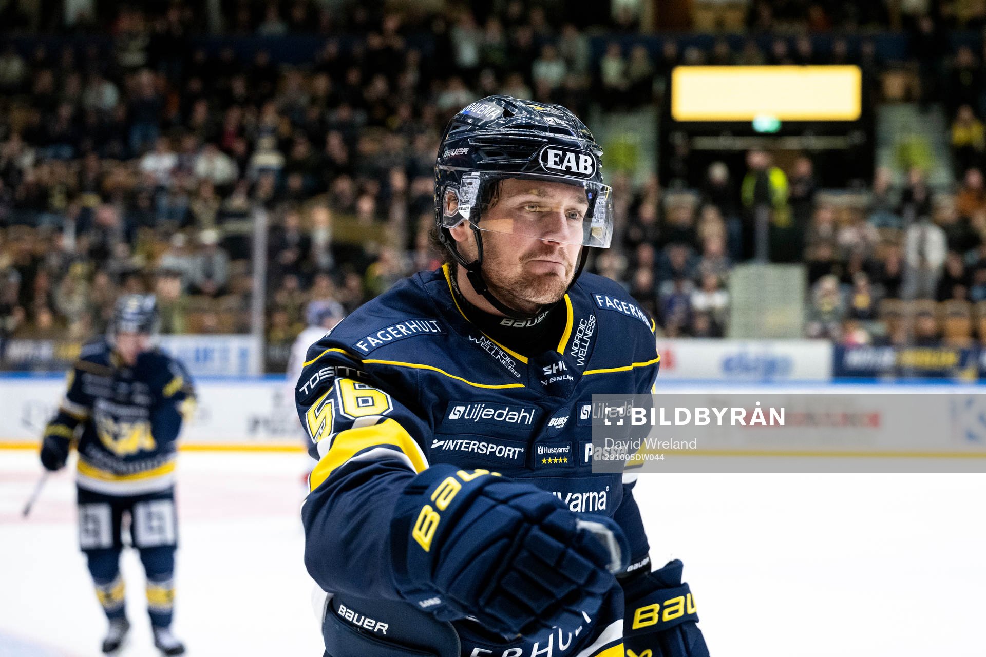 HV71s Fredrik Forsberg jublar