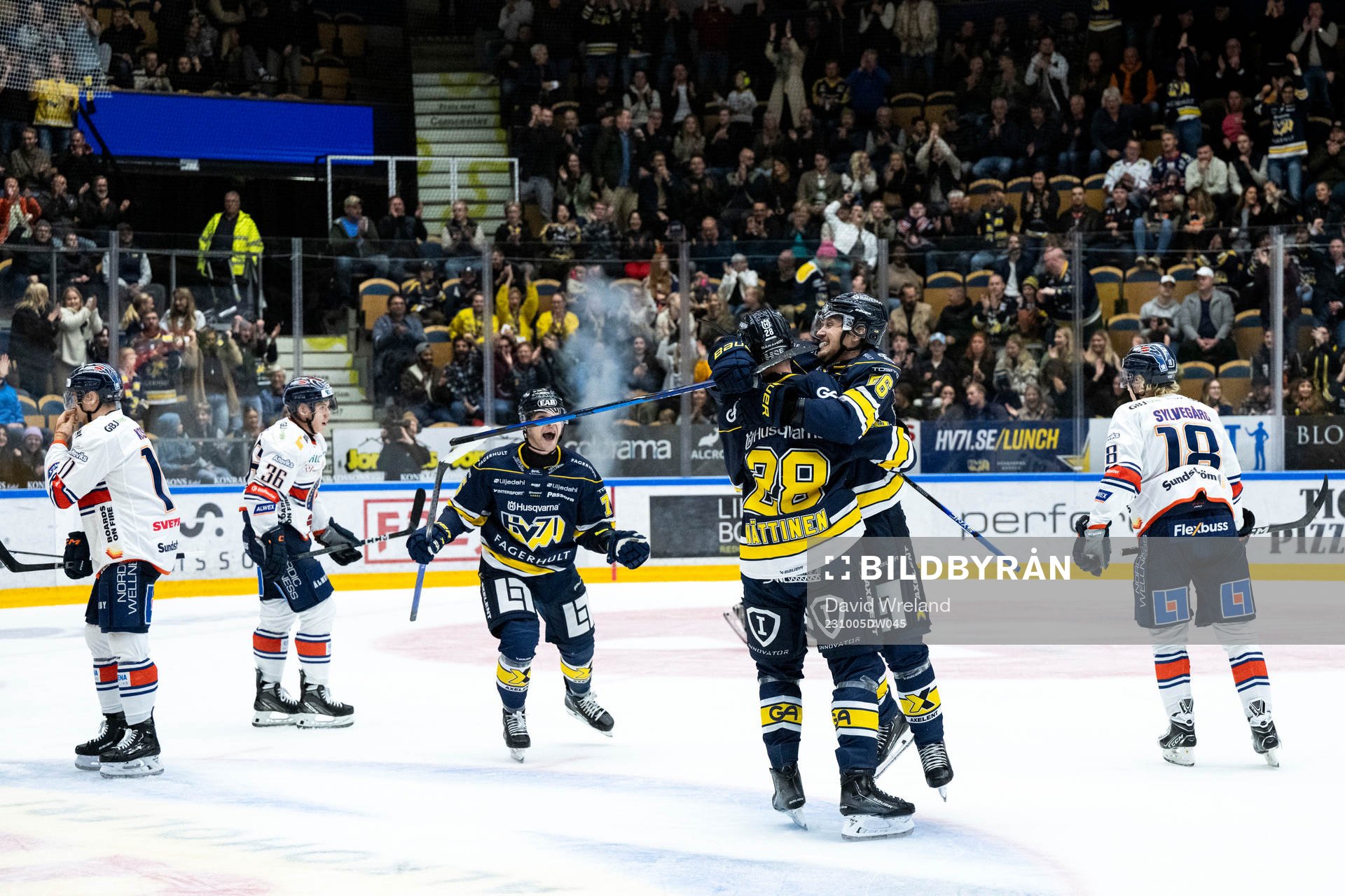 HV71s Fredrik Forsberg jublar