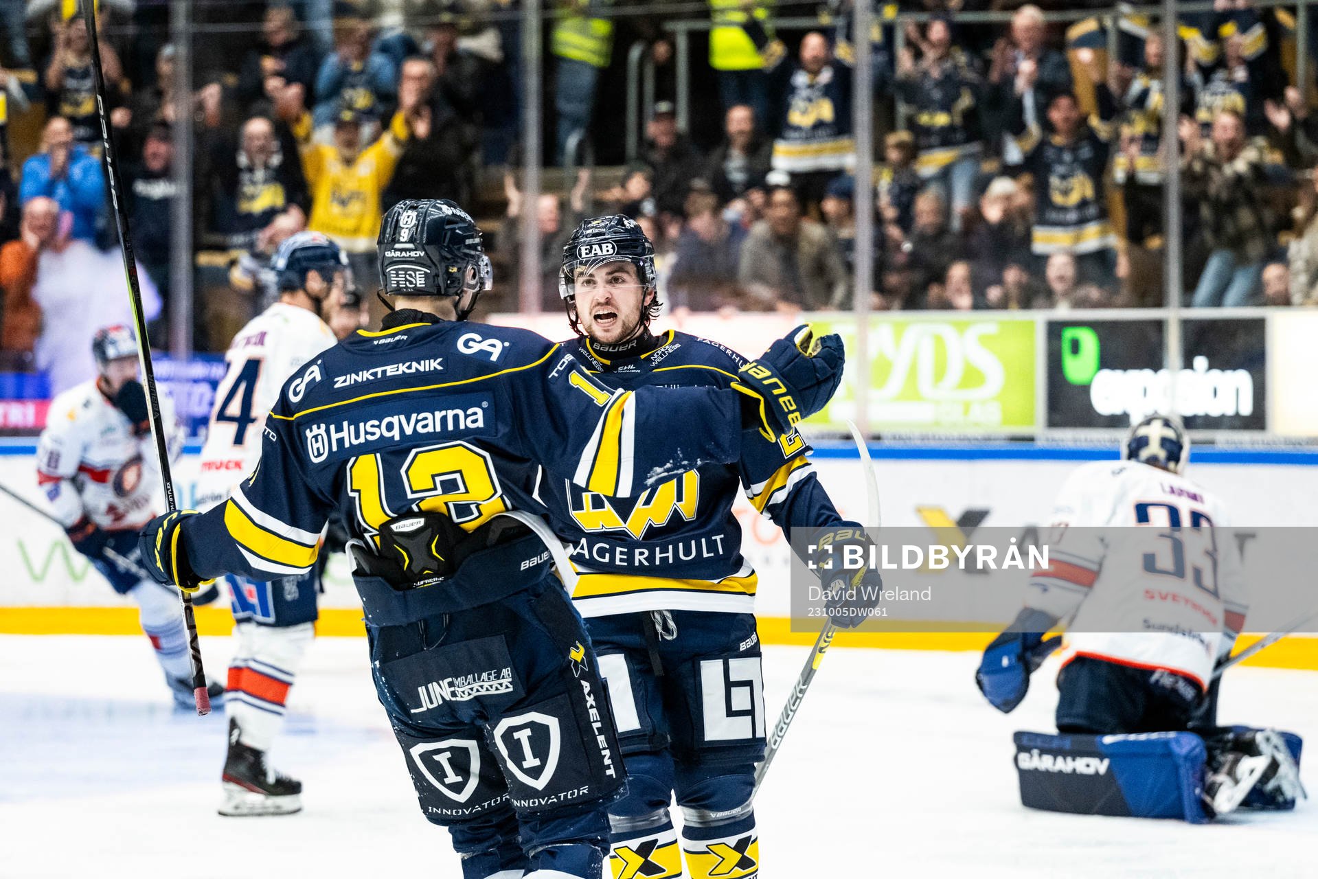 HV71s Robert Nardella jublar