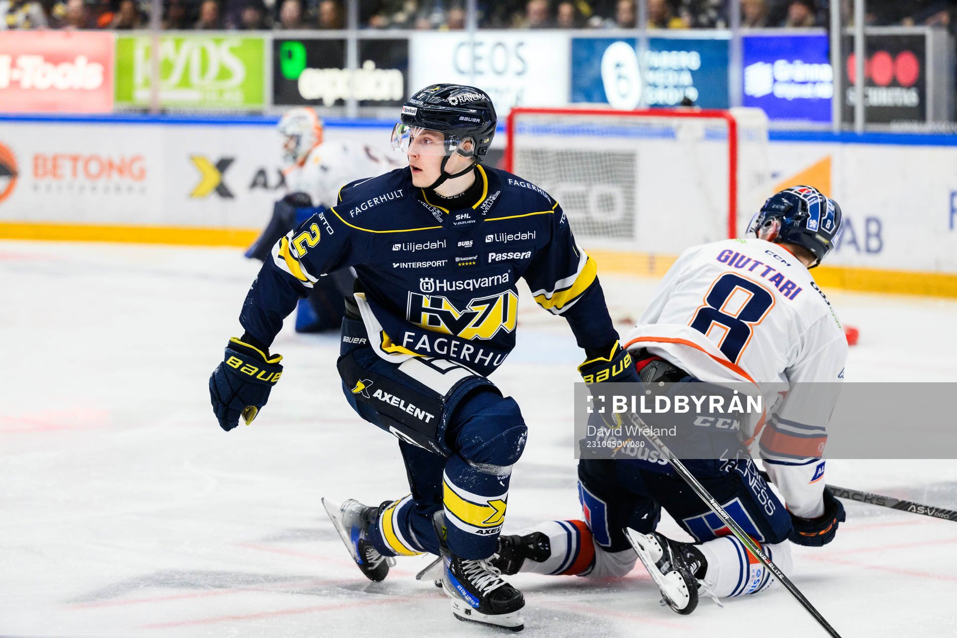 HV71s Hugo Pettersson