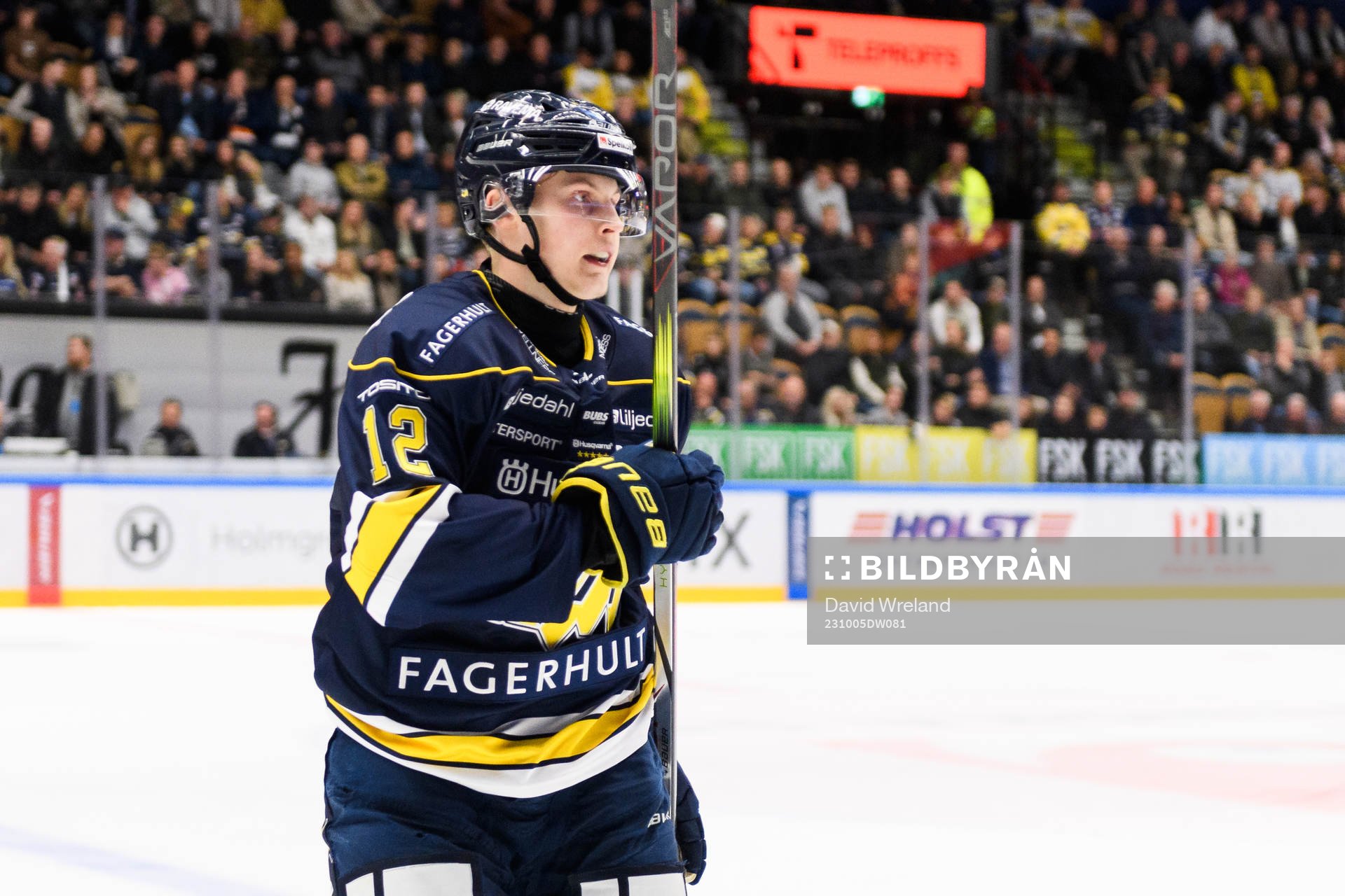 HV71s Hugo Pettersson