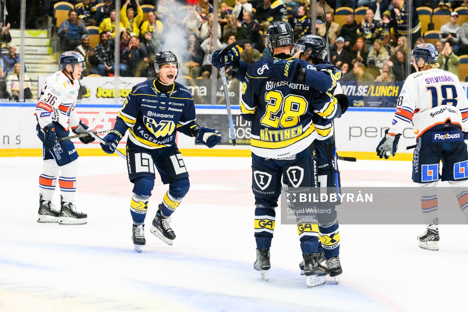 HV71s Fredrik Forsberg jublar