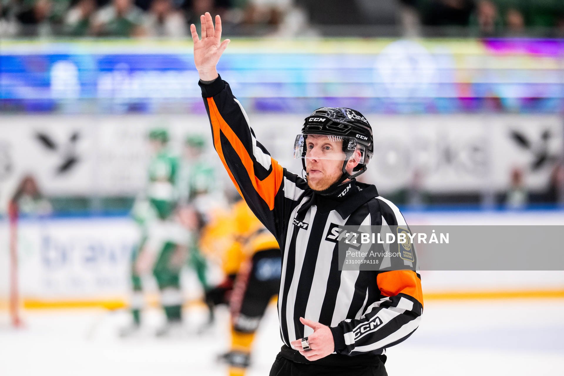 Domare Mikael Holm