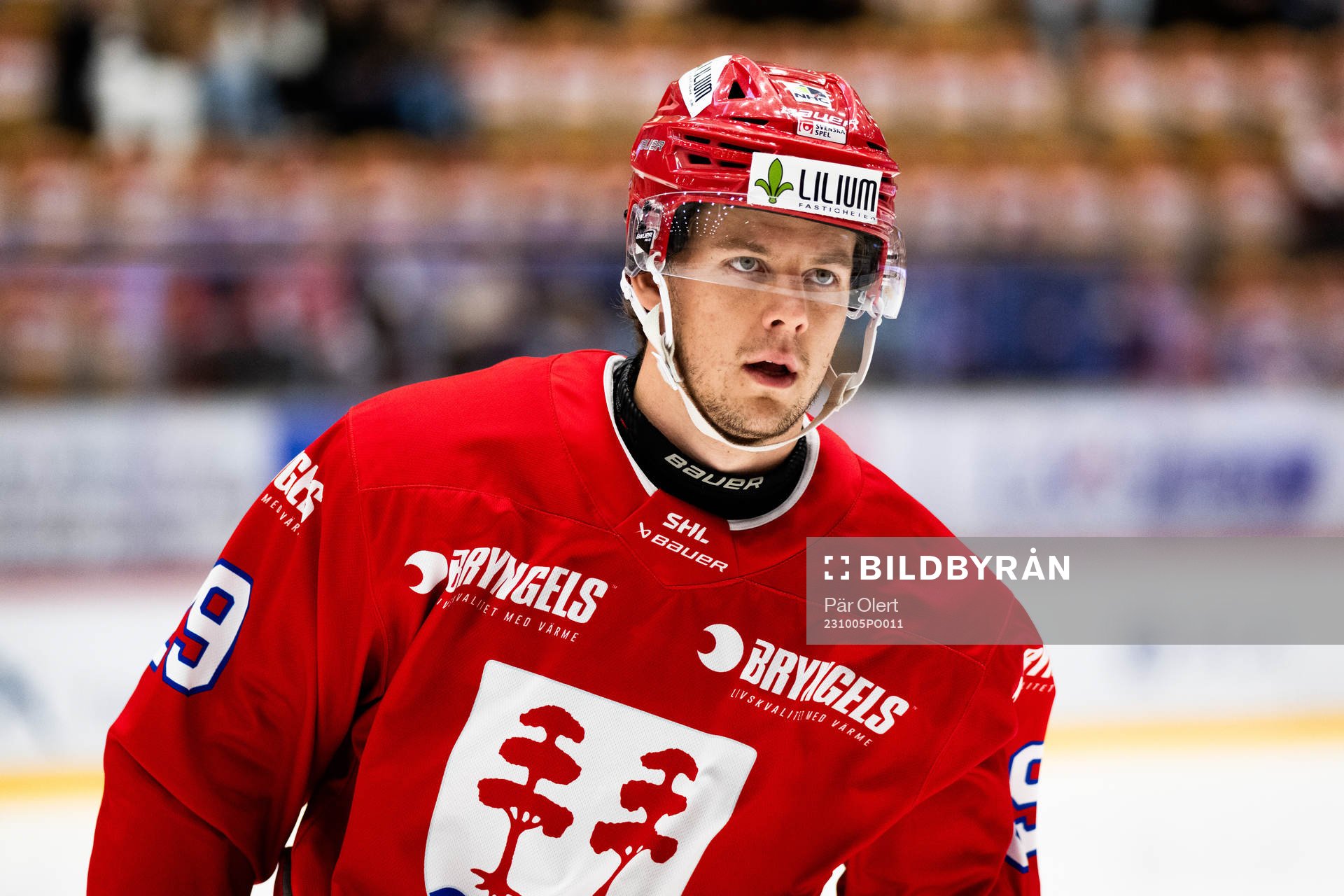 Timrås Filip Hållander