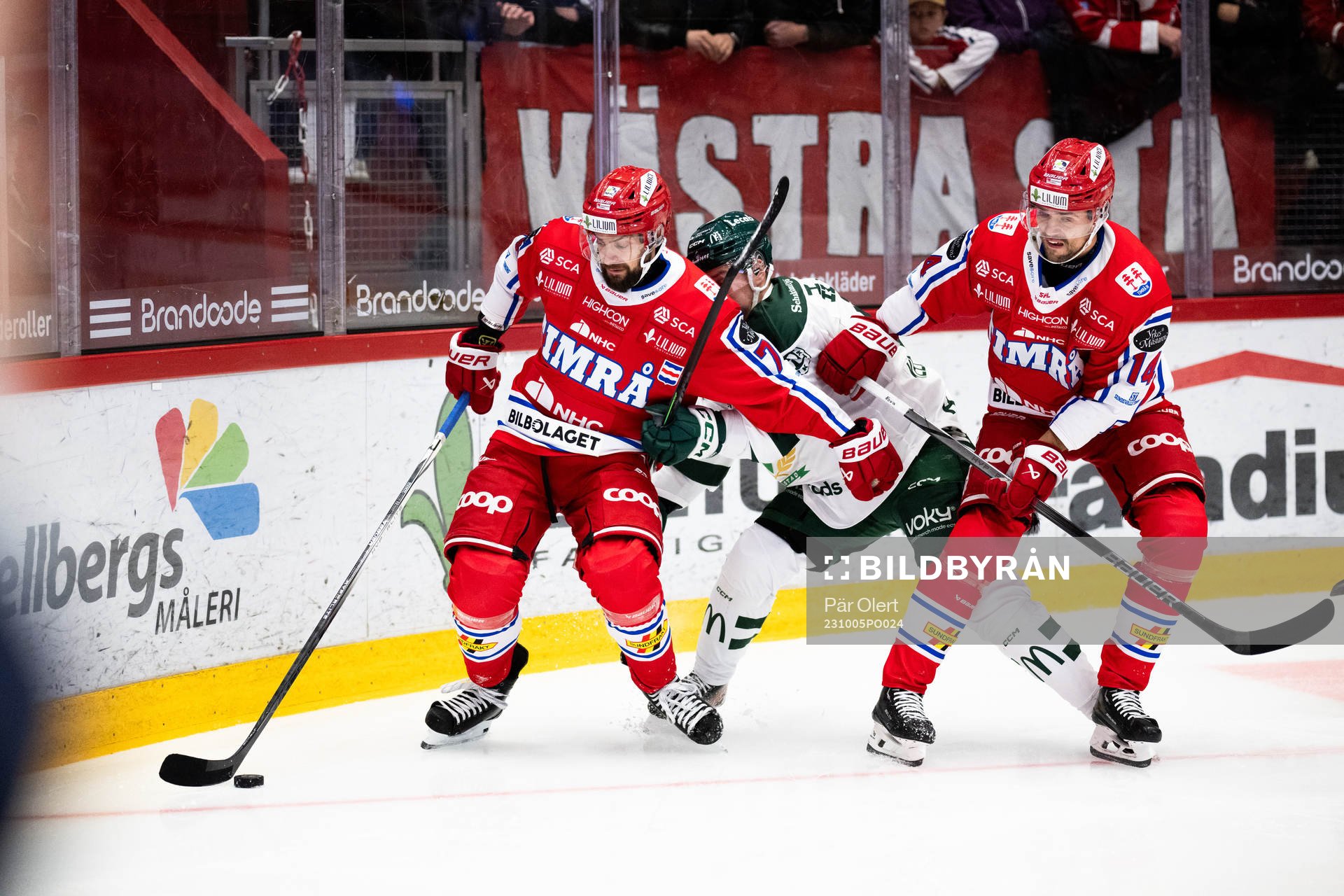 Timrås Robin Hanzl