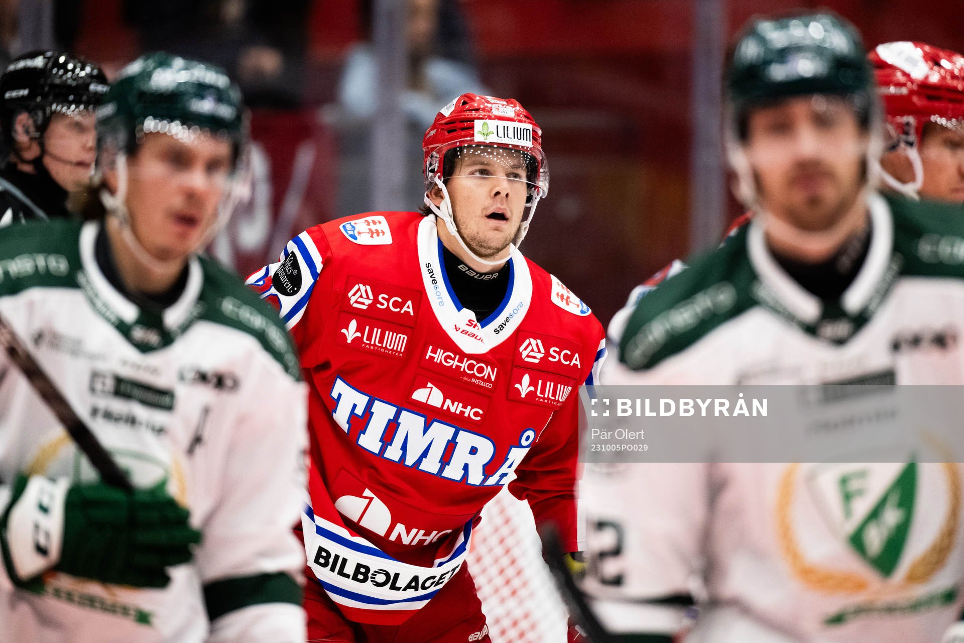 Timrås Filip Hållander