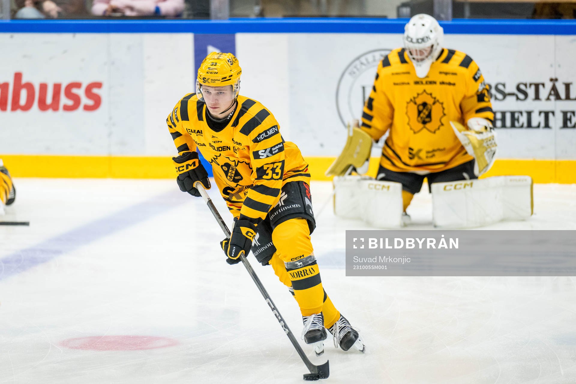 Skellefteås Zeb Forsfjäll
