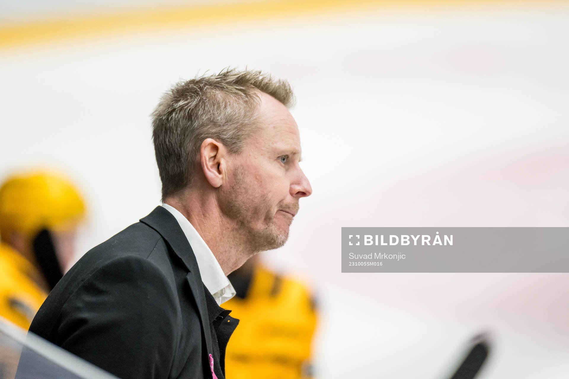 Skellefteås tränare Robert Ohlsson