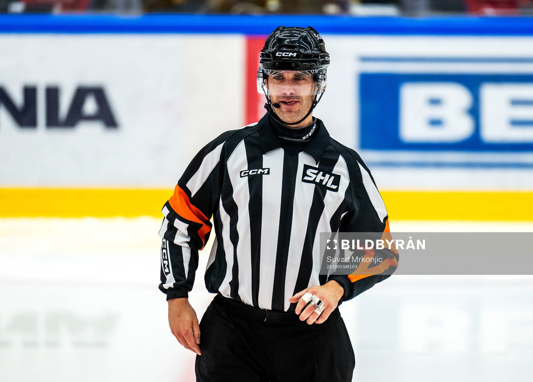 Domare Richard Magnusson
