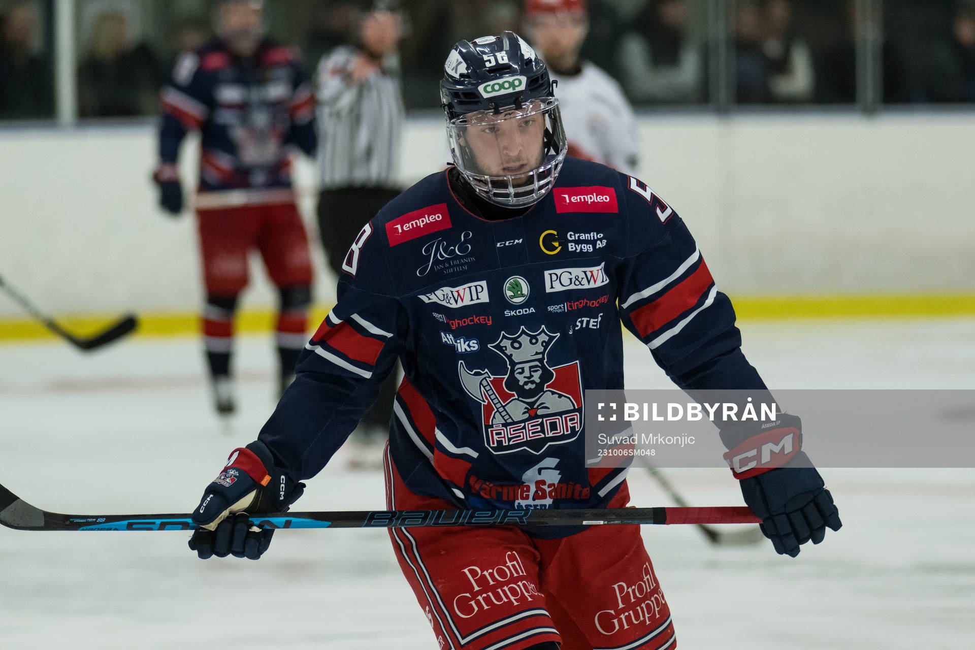 Åsedas Theo Papamichailidis
