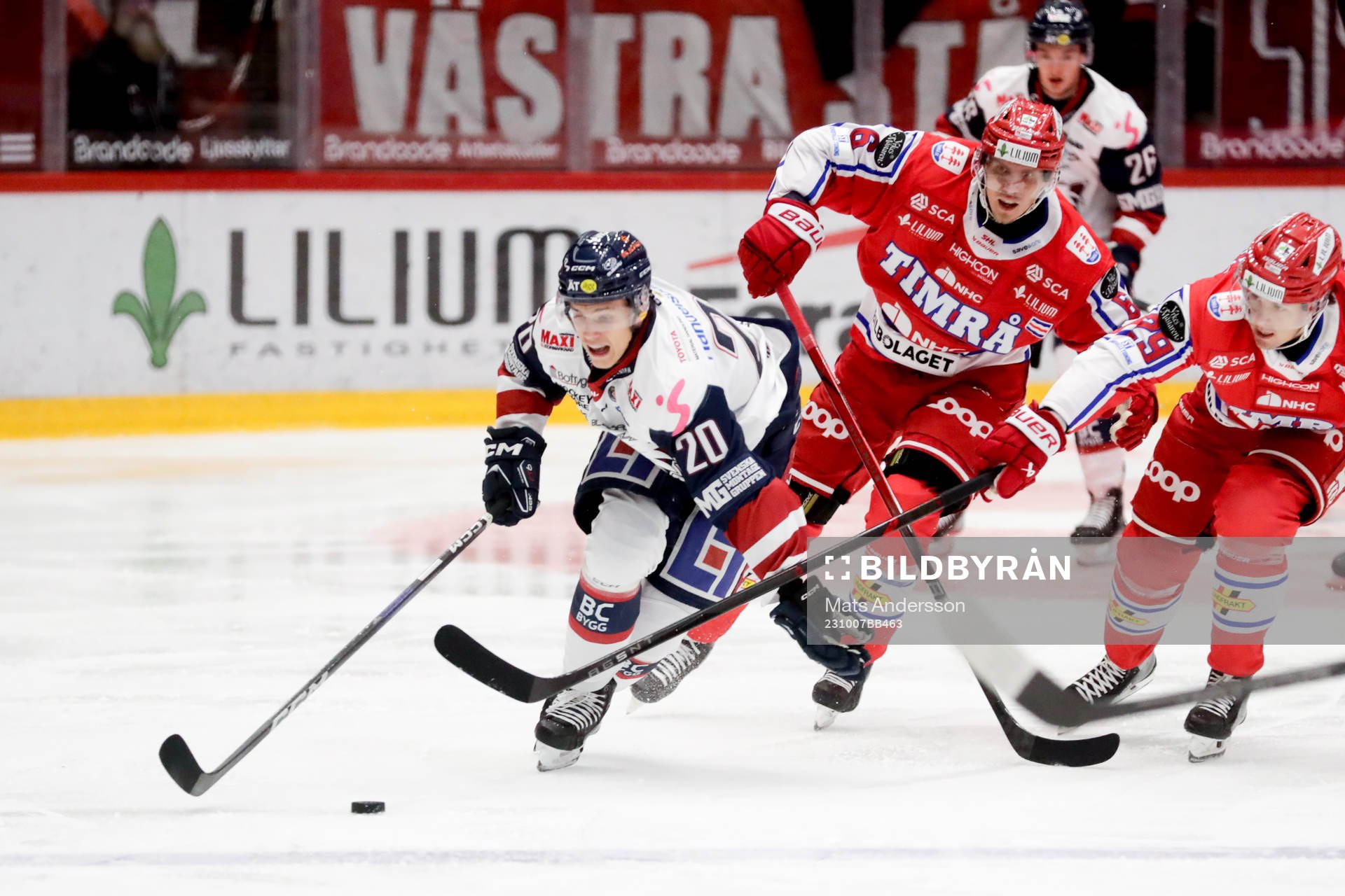 Linköpings Arvid Westlin