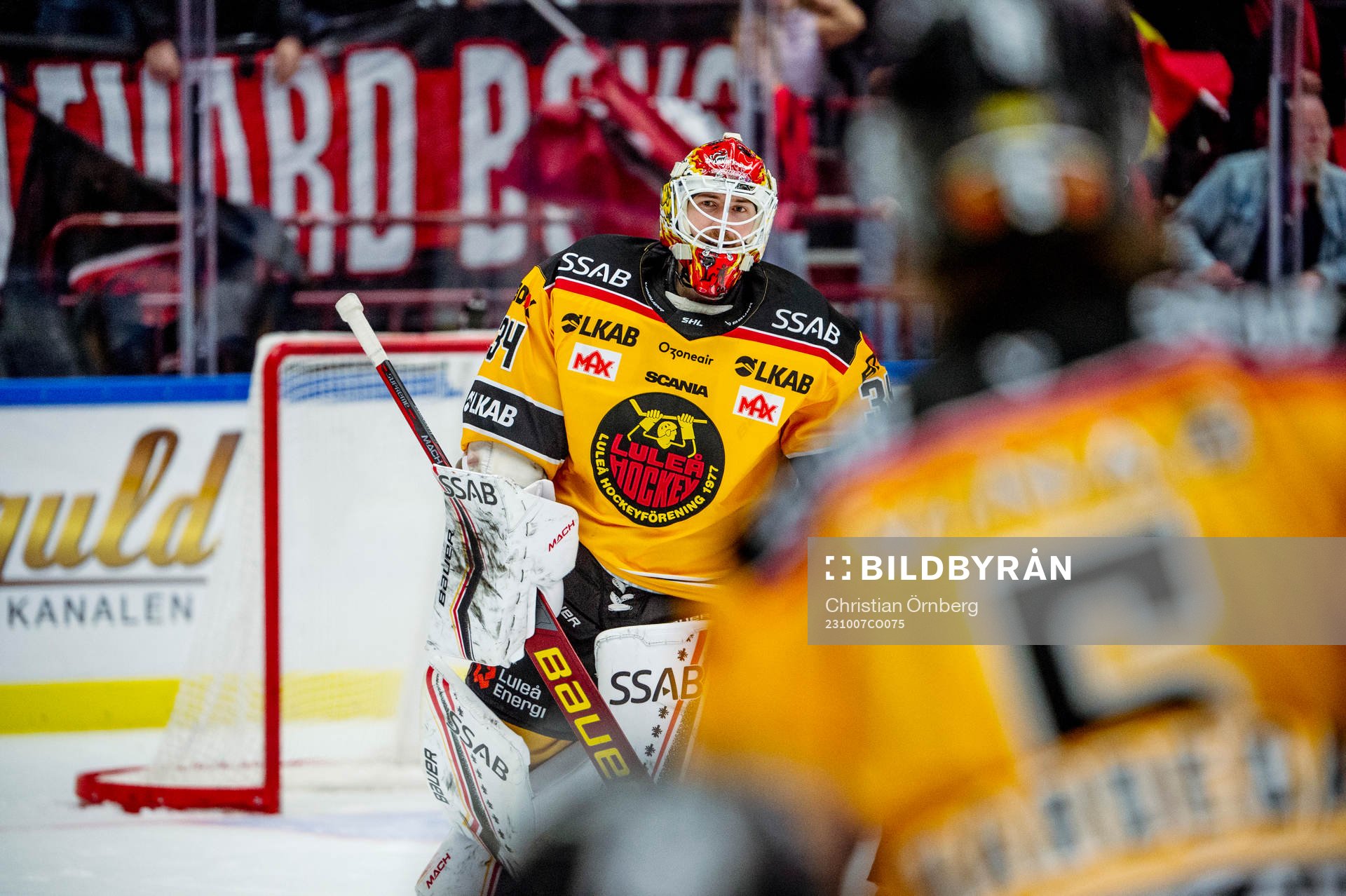 Luleås målvakt Joel Lassinantti jublar med lagkamraterna