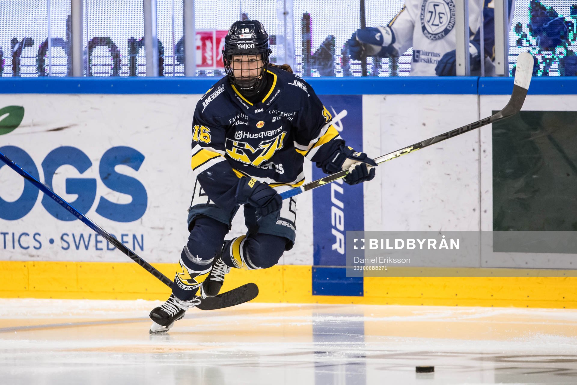 HV71s Kajsa Armborg