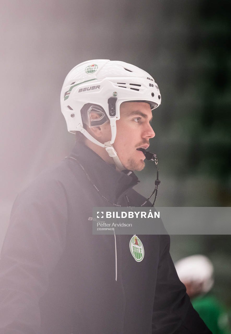 Ludvig Nilsson, Idrottspsykologisk rådgivare i ishockey