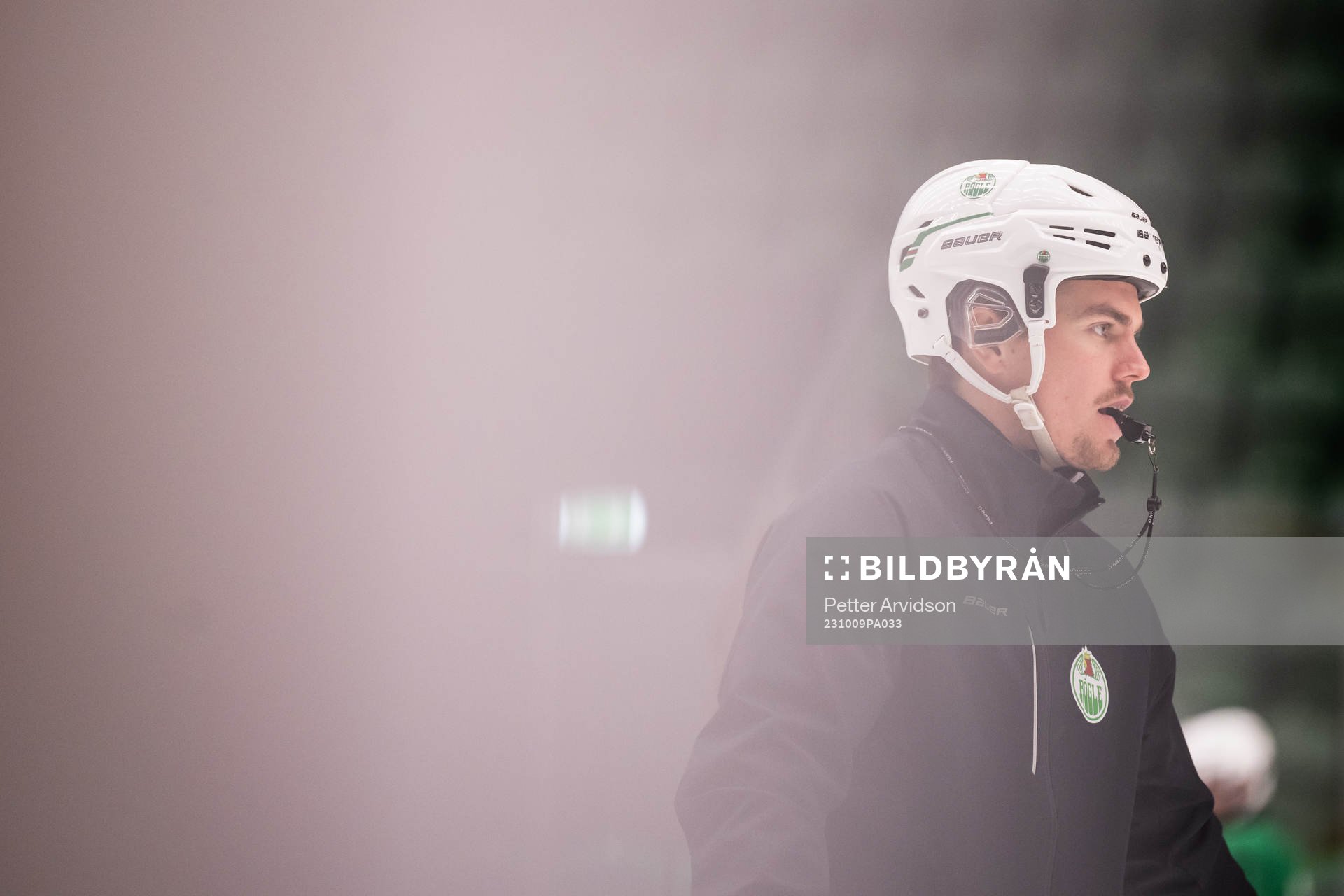 Ludvig Nilsson, Idrottspsykologisk rådgivare i ishockey